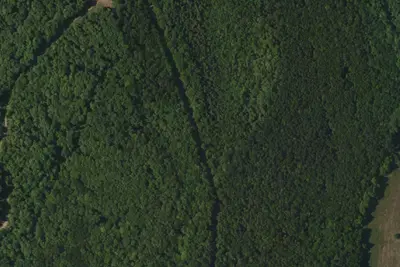 Herboristerie la Fée des Bois