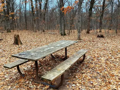 Picnic table at Wild River State Park campground, Minnesota (45291023195)
