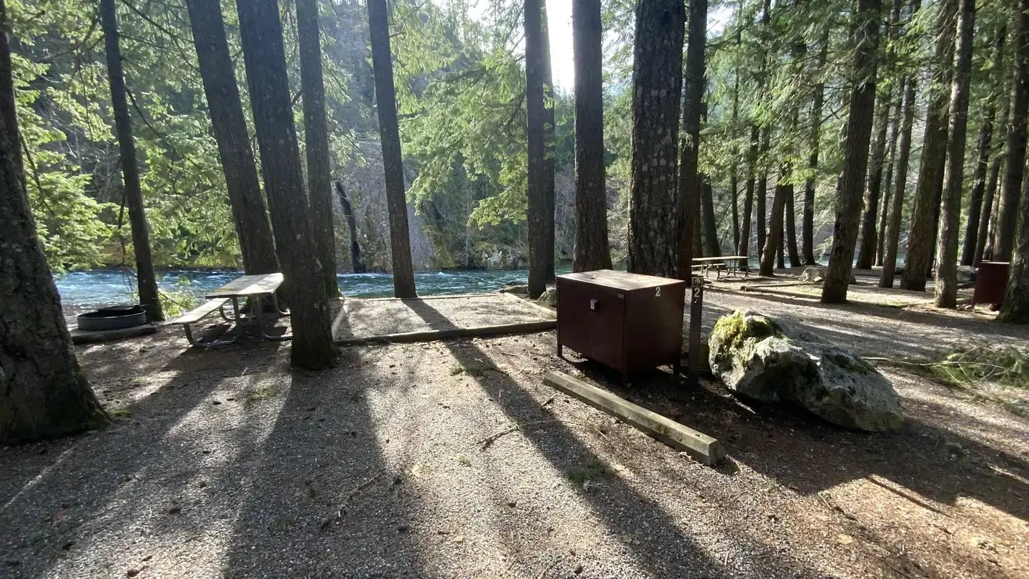 Sunny campsite near the lake containing a bear box, picnic table, and campfire ring.
