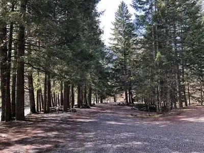 Gravel road lined by tall trees at entrance to Gorge Lake Campground