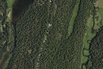 Camp site