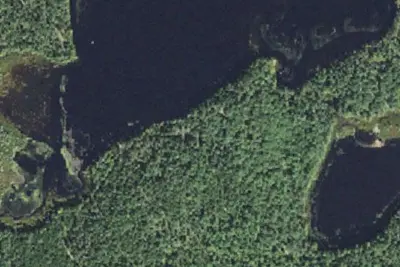 Jackpine Lake Campsites