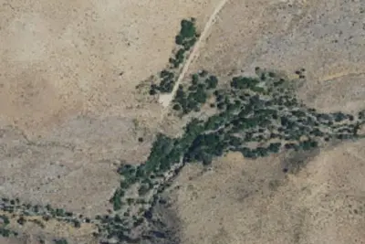 Camp site