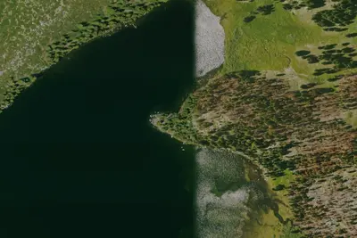 Camp site