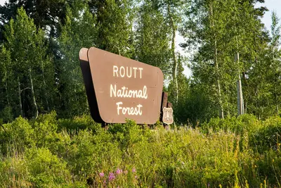 Routt National Forest - Colorado
