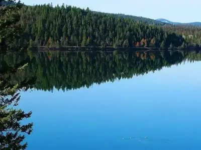 N. Dickey Lake