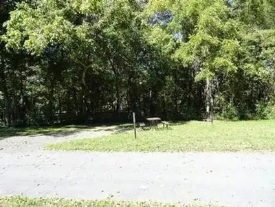 A campsite at Alley Spring with picnic table and shade trees