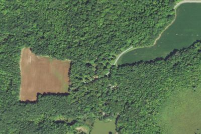 Site #3