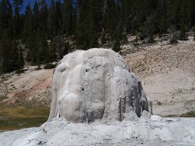 Lone Star Geyser (7 August 2013) 31 (13275824745)