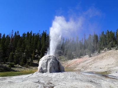Lone Star Geyser eruption (3.57-4.23 PM, 7 August 2013) 69 (13276285915)
