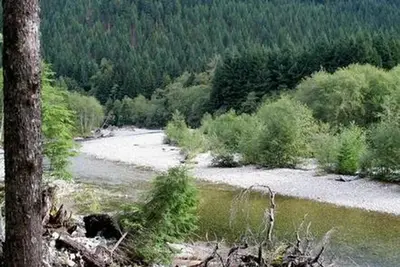 Tinkham Campground