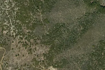 Camp site
