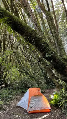 Gualala Point Regional Park Campground (52806175384)
