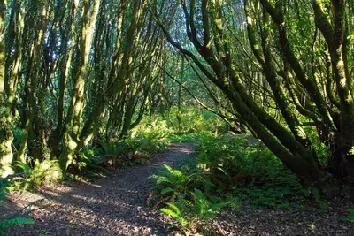 Gualala Point Regional Park - S and J 03