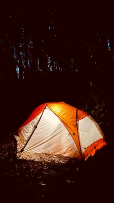 Gualala Point Regional Park Campground (52805917216)