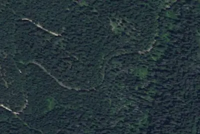 Cw244rd-004