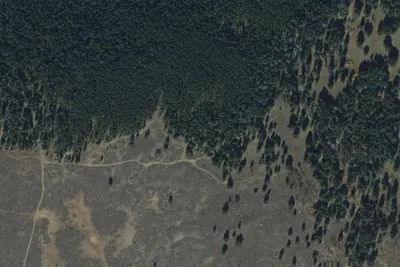 Pole Creek Road-010