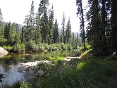 South Fork Yuba River