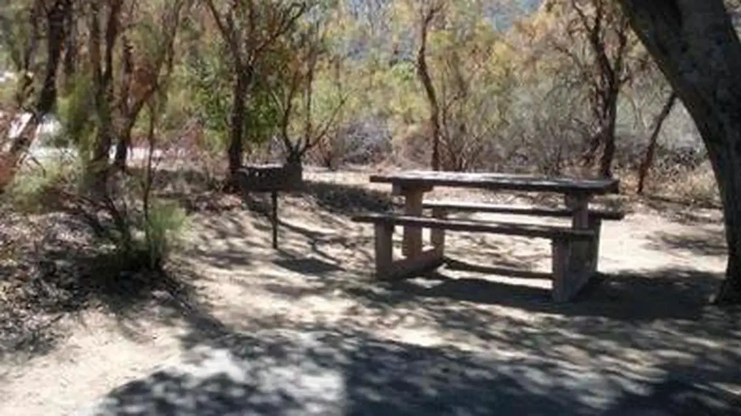 Picnic table and grill under the shade of a large tree.