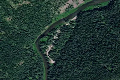 Spruce Tree Campground