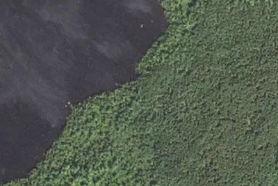 Camp site