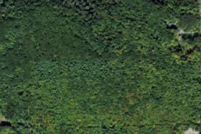 Bivouac Site