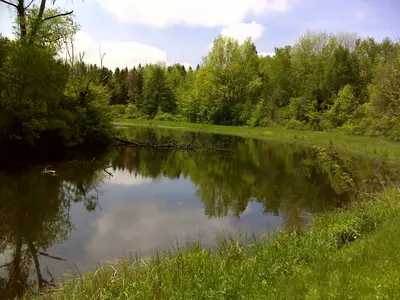 FLT I1 1.9 mi - S Burnt Hill Wildlife Pond - panoramio