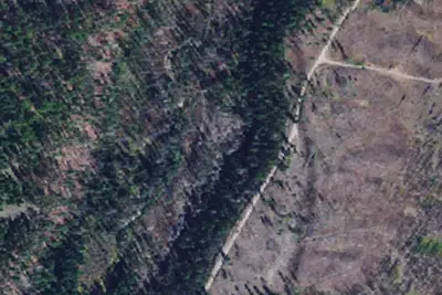 Morrell Creek 02