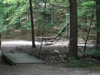 White Ledge Campsite