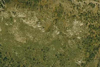 Snow Flat Dispersed Camping Area