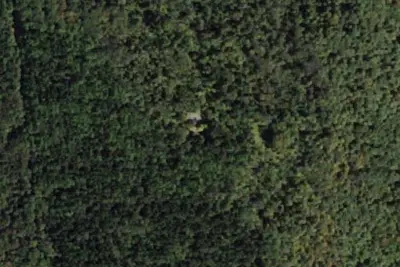 Camp site