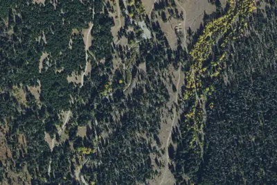 Cottonwood05