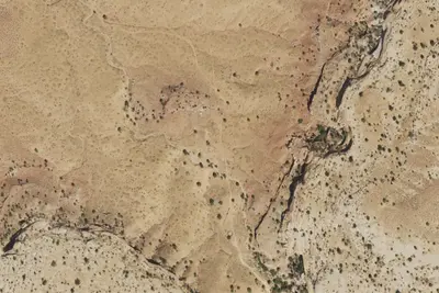 Camp site