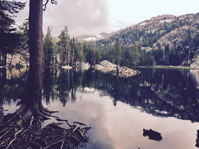 Woods-Lake-Sierra-Nevada-Alpine-Janine-Sprout