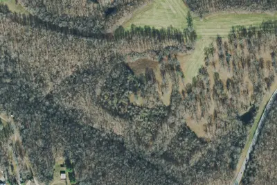 Twin Trees