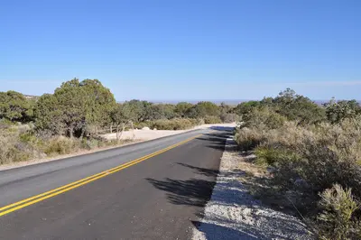 Pine Springs Campground road