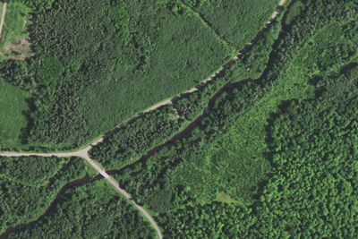 County Park