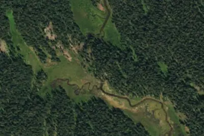Camp site