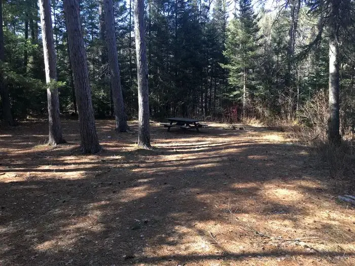 A campsite at the Little Isabella River Campground. A picnic table and a couple of flat tent pads are visible. There are several large red pines in the sit with smaller trees and brush in the forest around the site. The site itself is shaded.