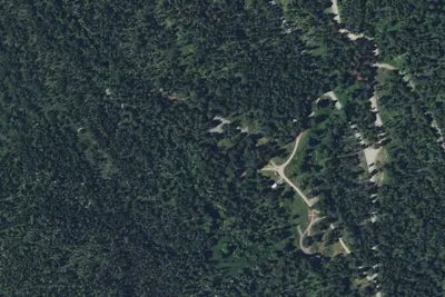 Pine Grove-001g