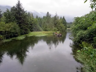 Zeballos River Estuary