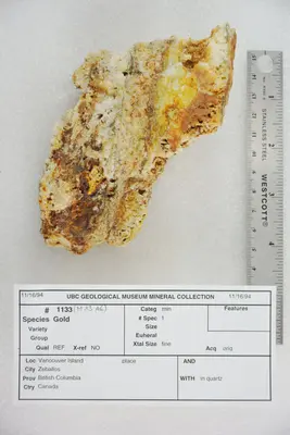 Gold in Quartz (33937674248)