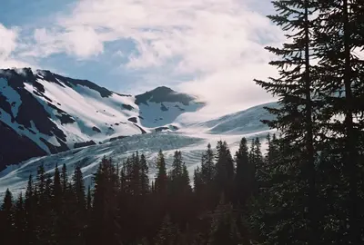 Trips 05 - Mt Baker - 01 (90971404)