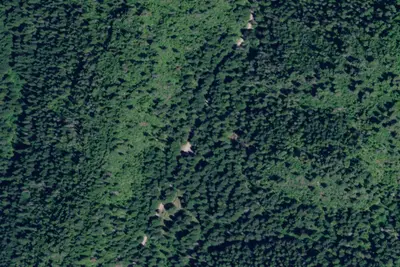 Rd 437 Site 18