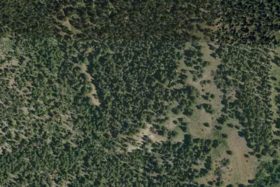 Camp site