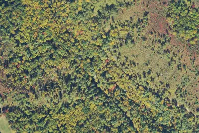 Camp site