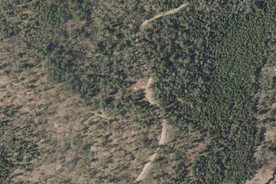 Camp site