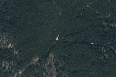 U.S. Forest Service Site T