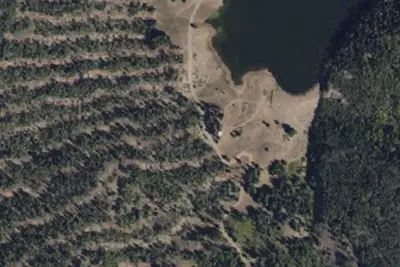 Manning Meadow CUA Dispersed