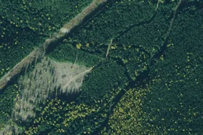 Rd 148 Site 5